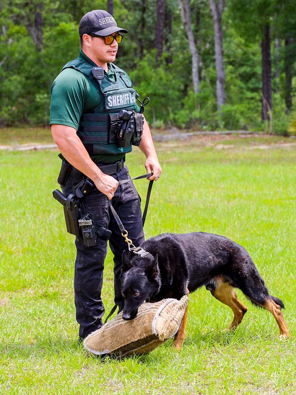 Male officer with K-9
